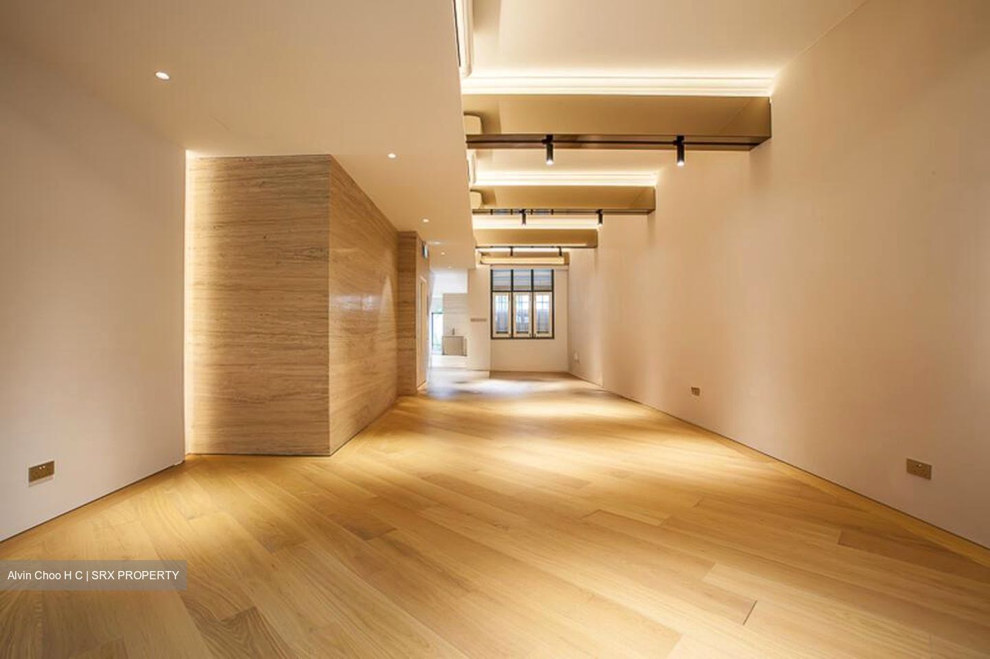 Sago Lane (D1), Shop House #502538251